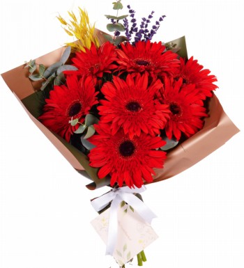 Kırmızı Gerbera Buket