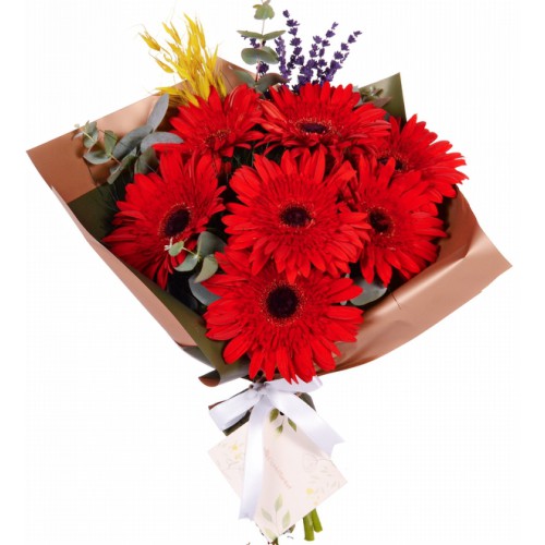 Kırmızı Gerbera Buket